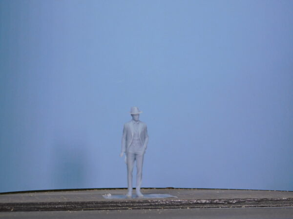 Signore elegante con cappello